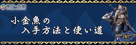 小金魚|【モンハンライズ】 小金魚の入手方法と使い道【MHR】